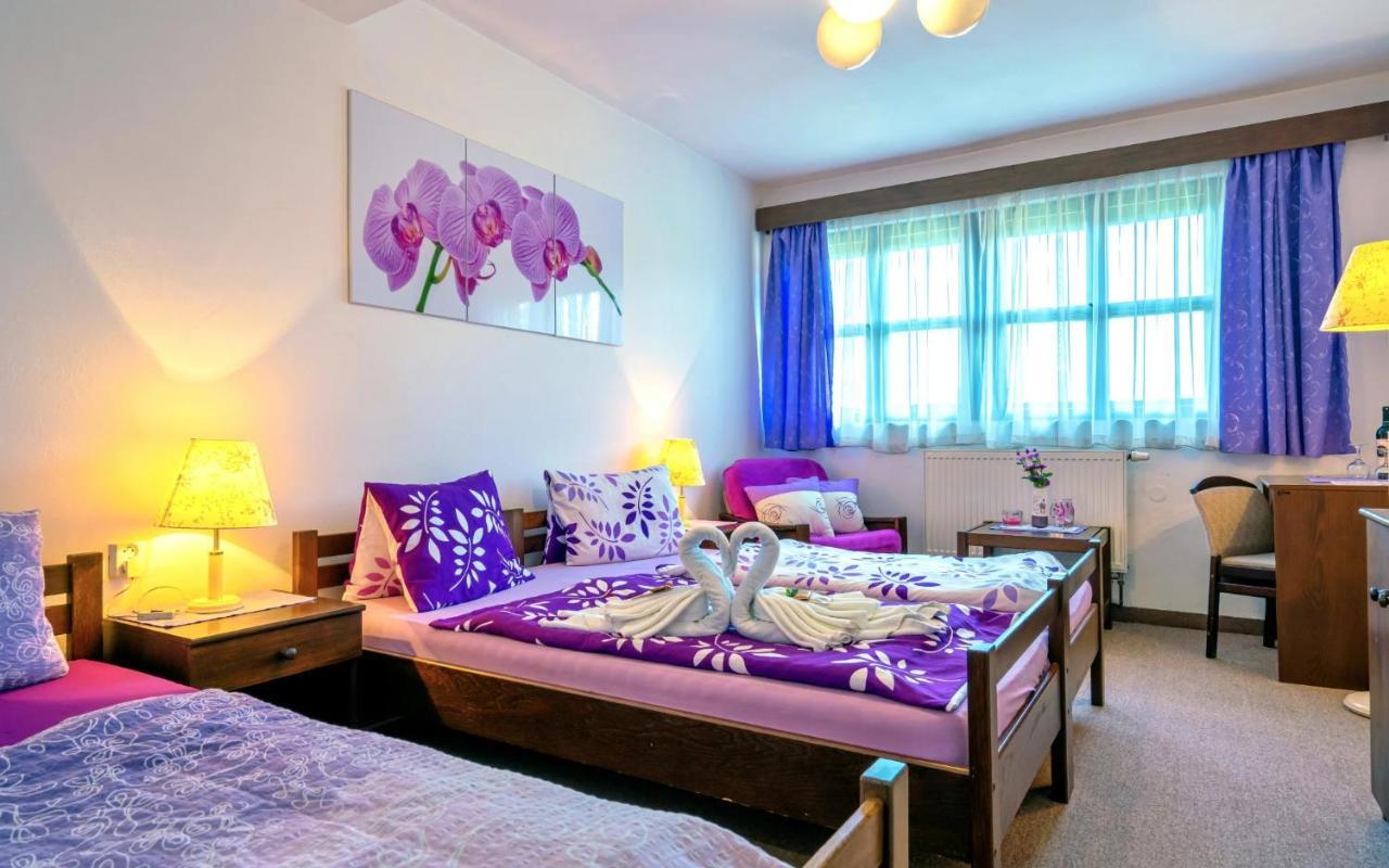 Hotel Stara Skola Na Sumave Horice na Sumave Ngoại thất bức ảnh