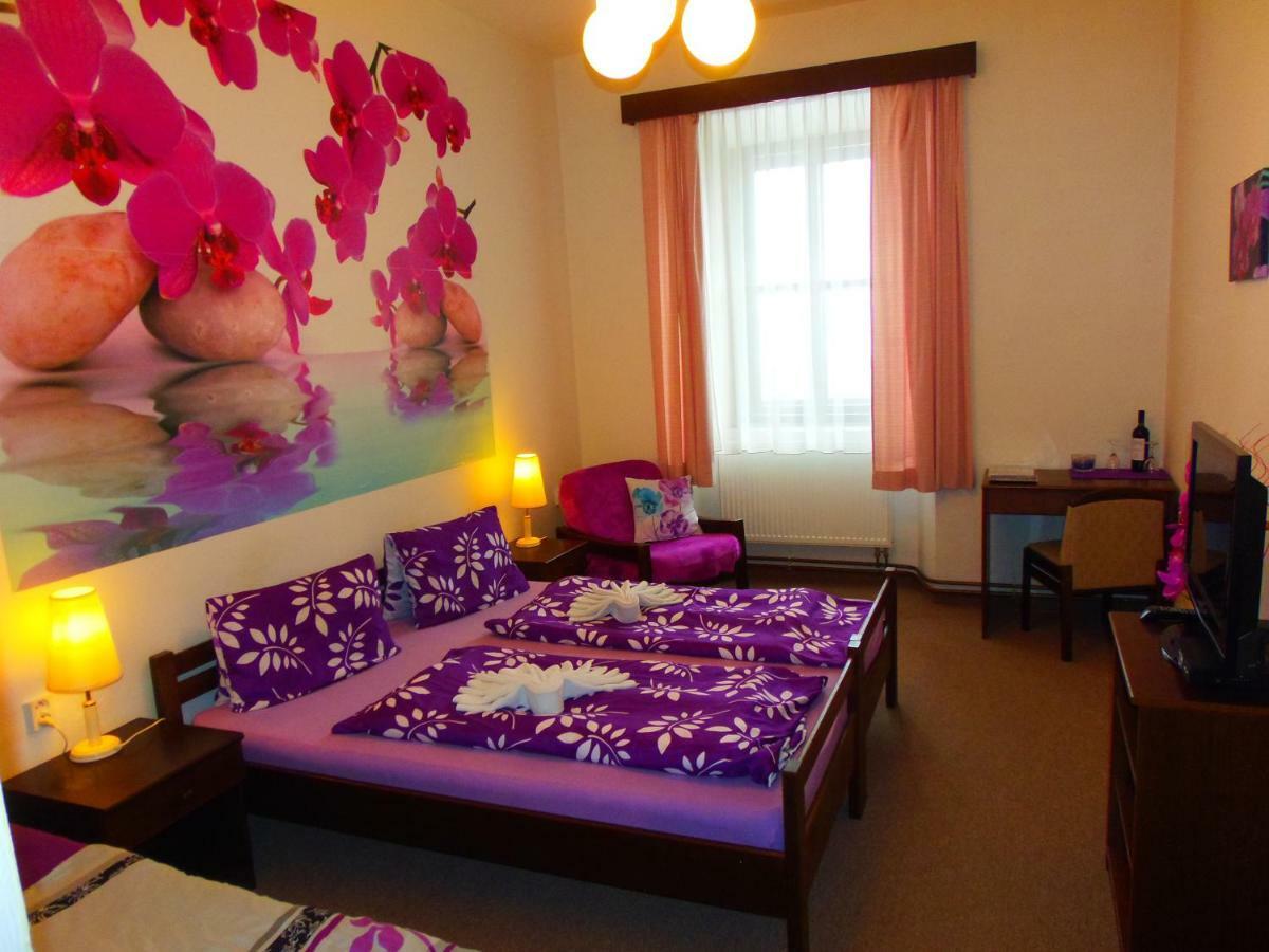 Hotel Stara Skola Na Sumave Horice na Sumave Ngoại thất bức ảnh